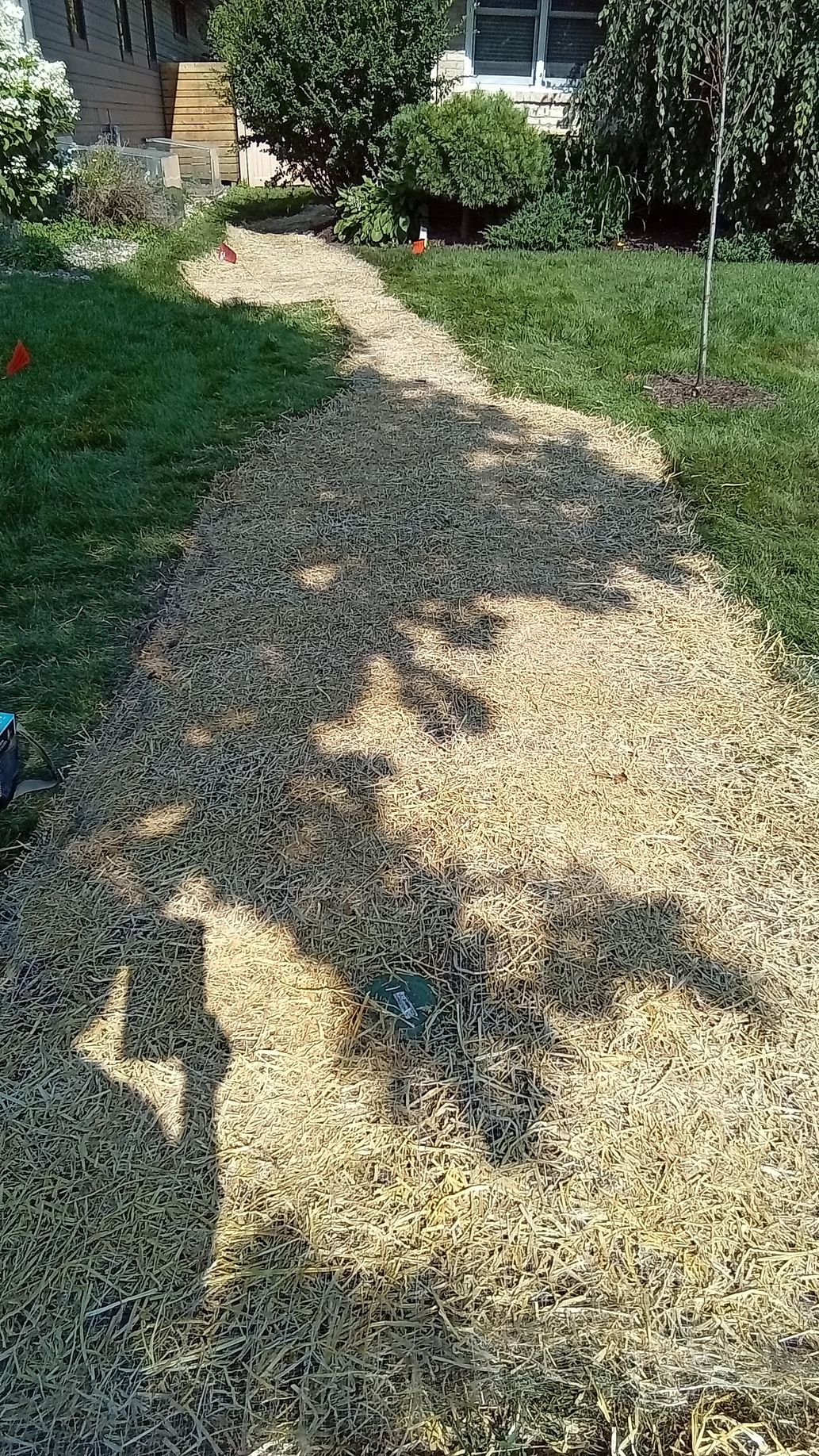 Our crew installing seed blankets after lawn repairs for drainage project 