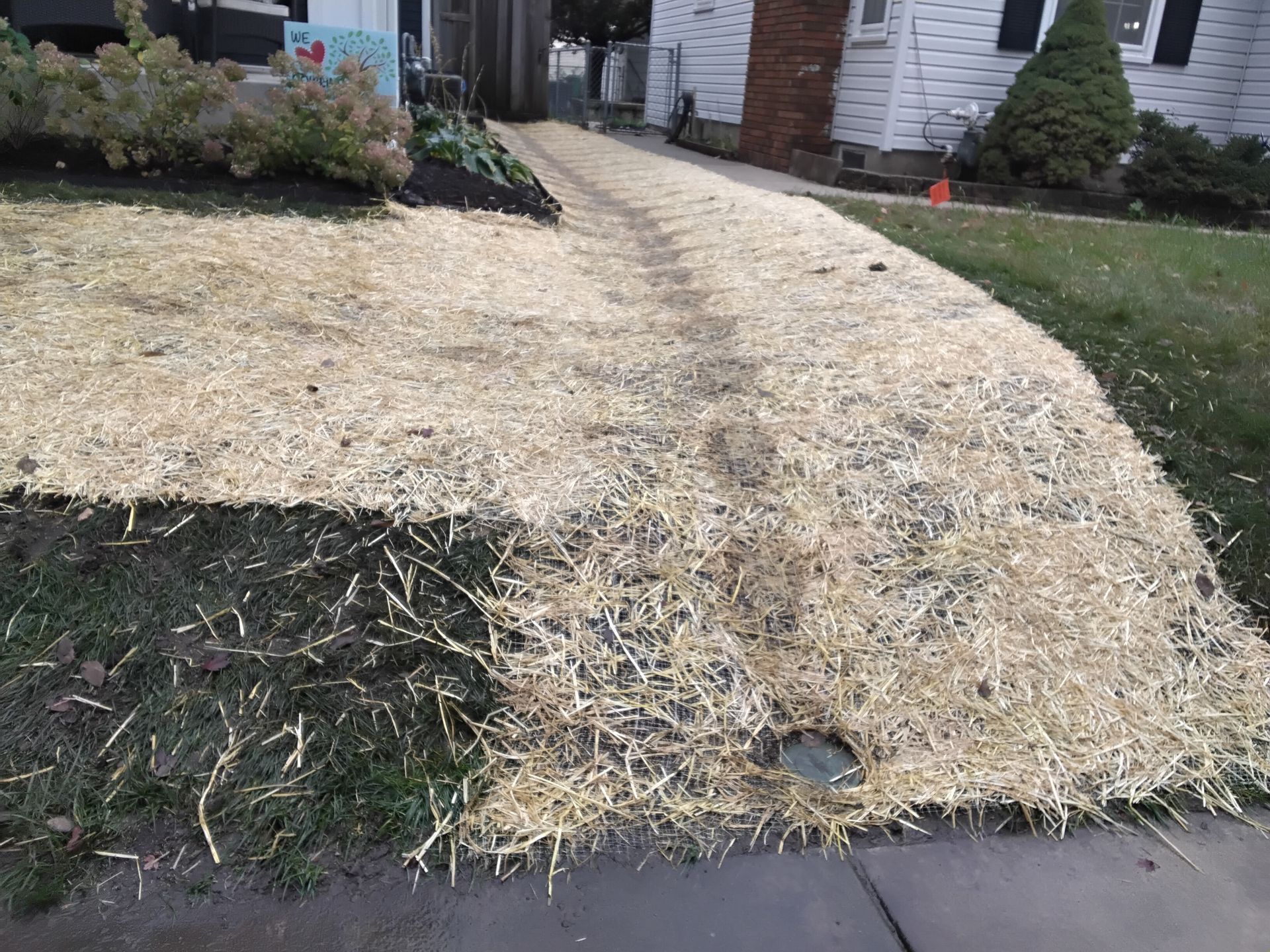 Minneapolis small yard drainage fix, after picture showing proof the swale is working perfectly after a rainfall, see water path marked in seed blanket