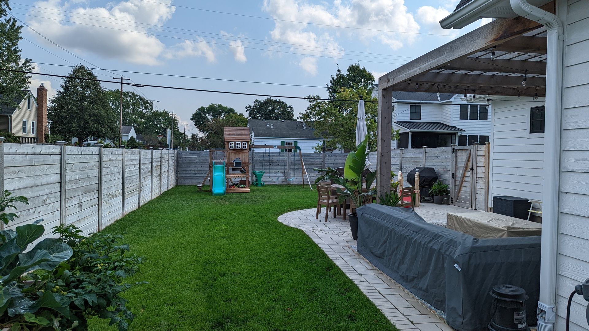 Nice green lawn of backyard at new build in Edina, MN