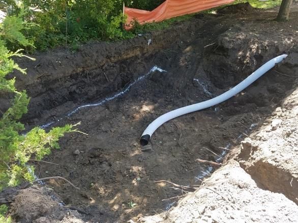 A white pipe is laying in the dirt next to a tree