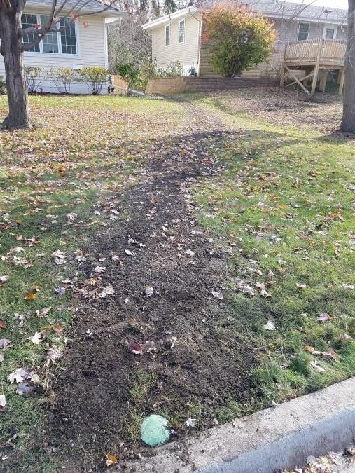 A dirt path leading to a house in a yard.