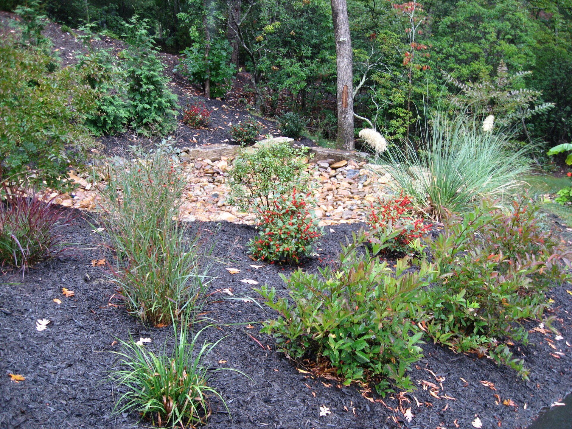 A garden filled with lots of plants and trees