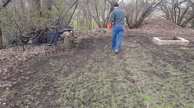 MN Lawn Seeding & Overseeding: Timing Tips for Spring