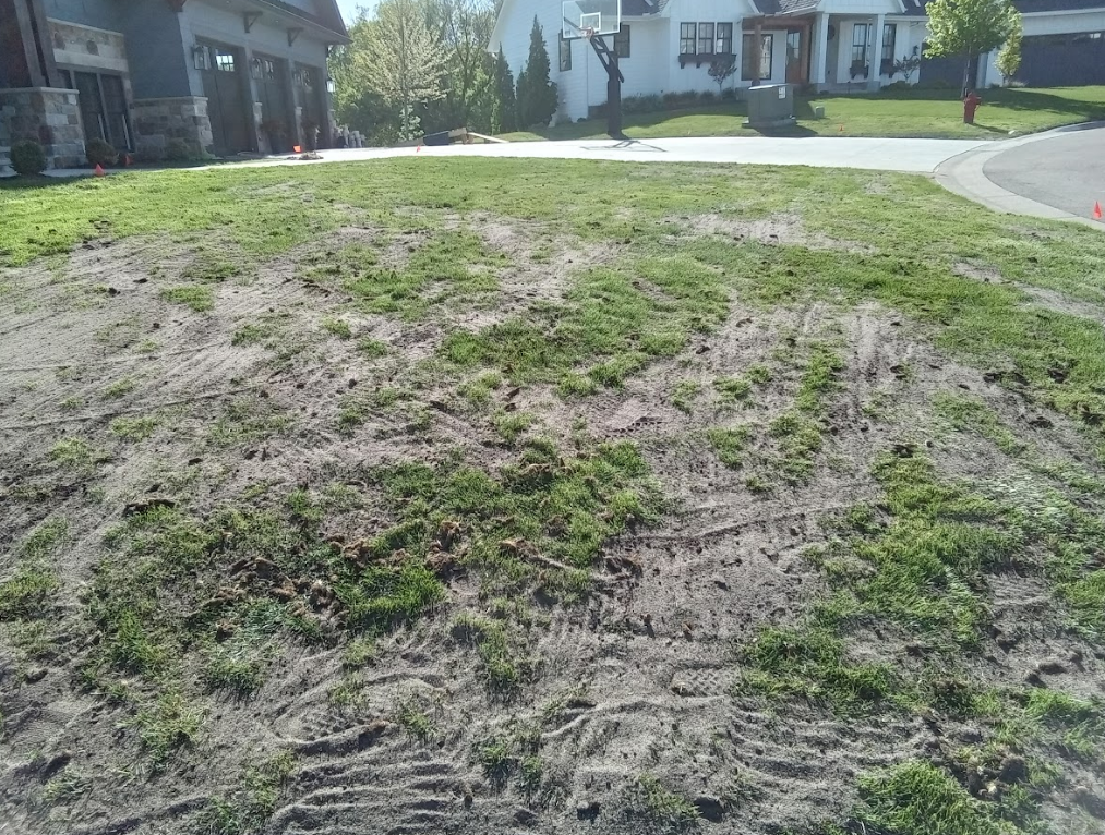 A front lawn showing significant bare, sandy patches and tire tracks in front of a residential house.