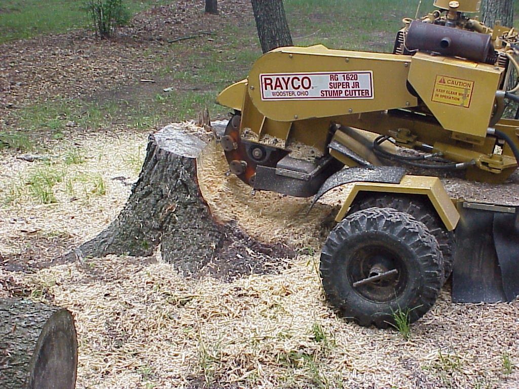 A rayco stump grinder is working on a tree stump