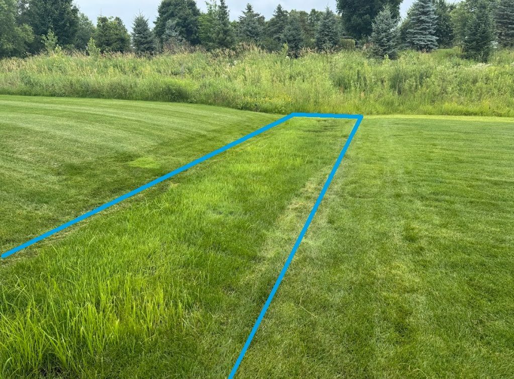 before picture of a backyard drainage swale in a lawn which stays too muddy and wet to mow in MN 