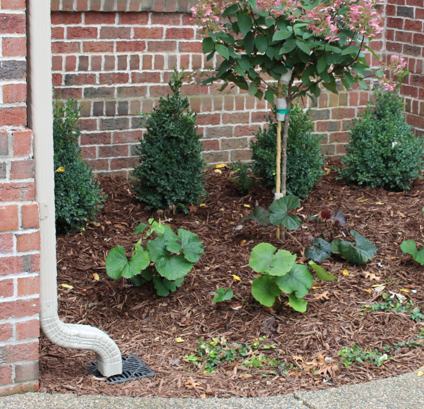 underground downspout drainage pipe buried below front sidewalk