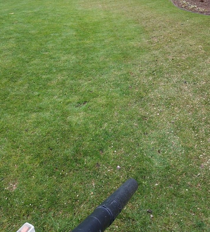 A person is blowing grass in a park with a blower.