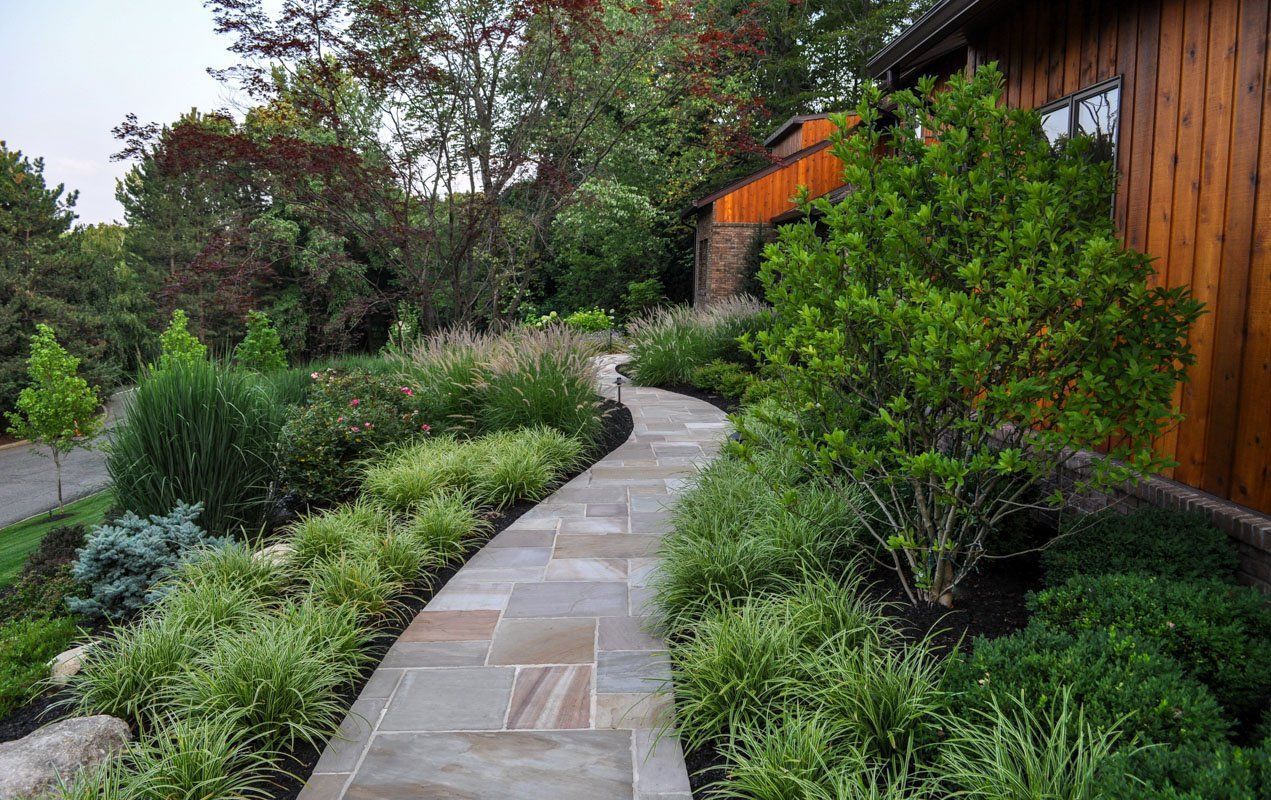 A stone walkway leading to a house surrounded by trees and bushes.