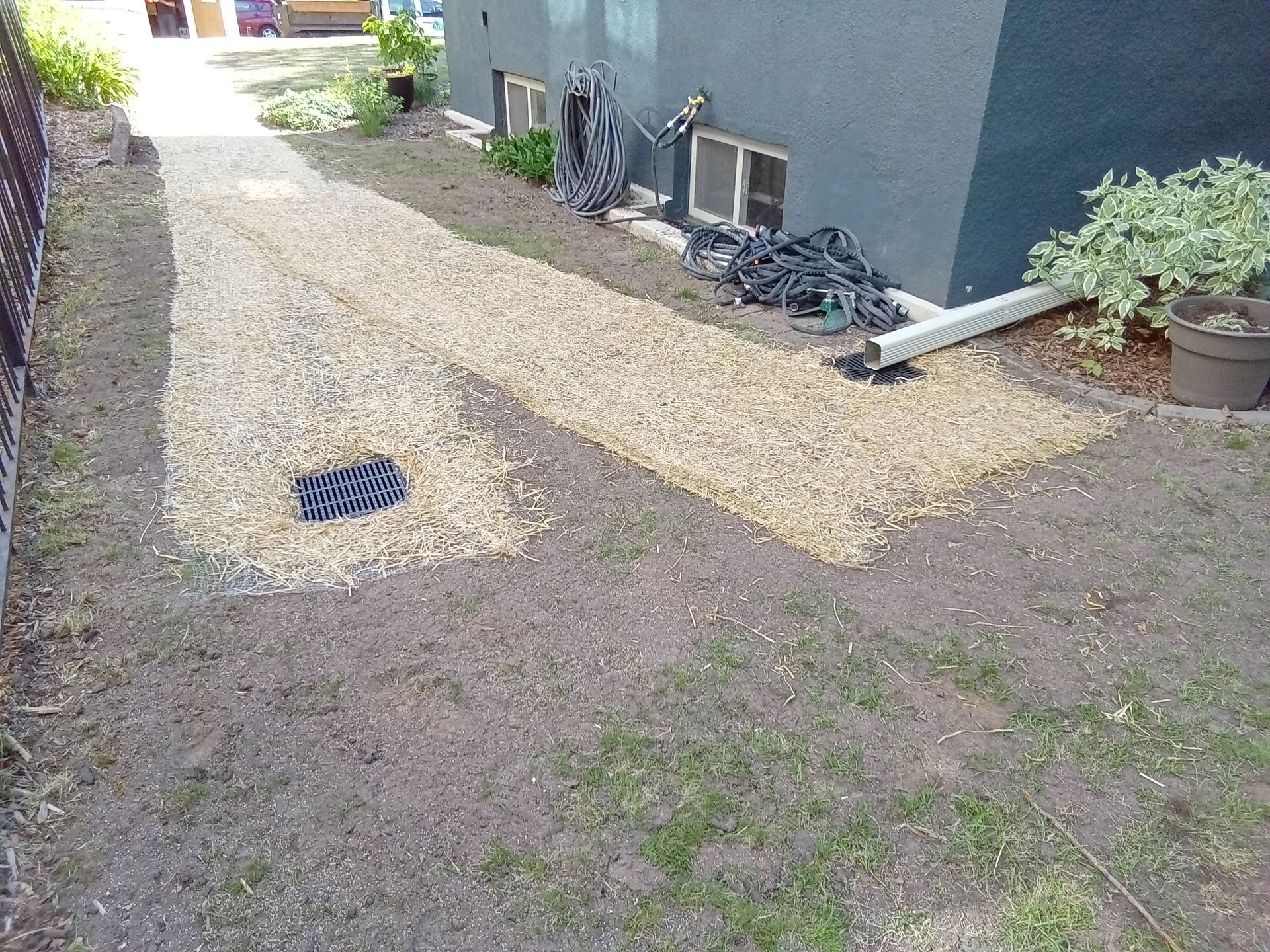 After: Catch basin yard drain installed in low spot (drains out to street in front)