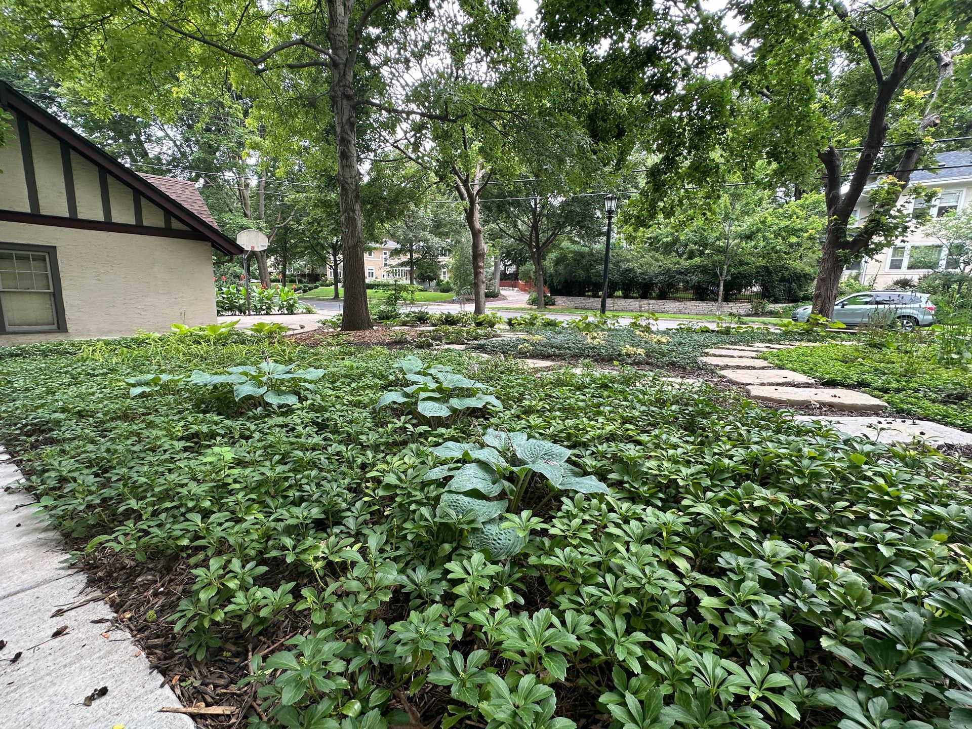 Backyard planted with shade garden and ground cover plants in Minneapolis by KG Landscape