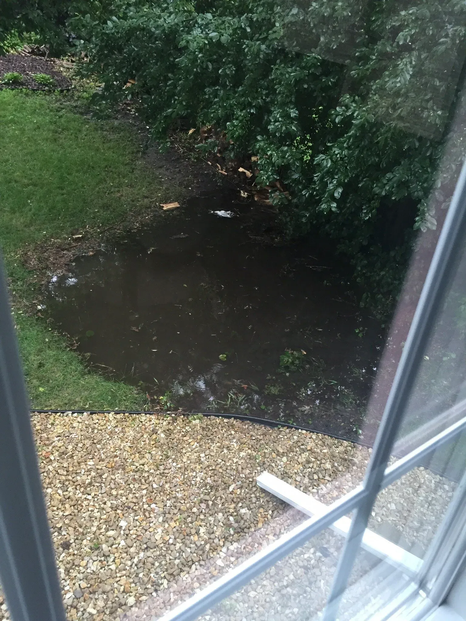 A window looking out to a puddle of water in a yard.