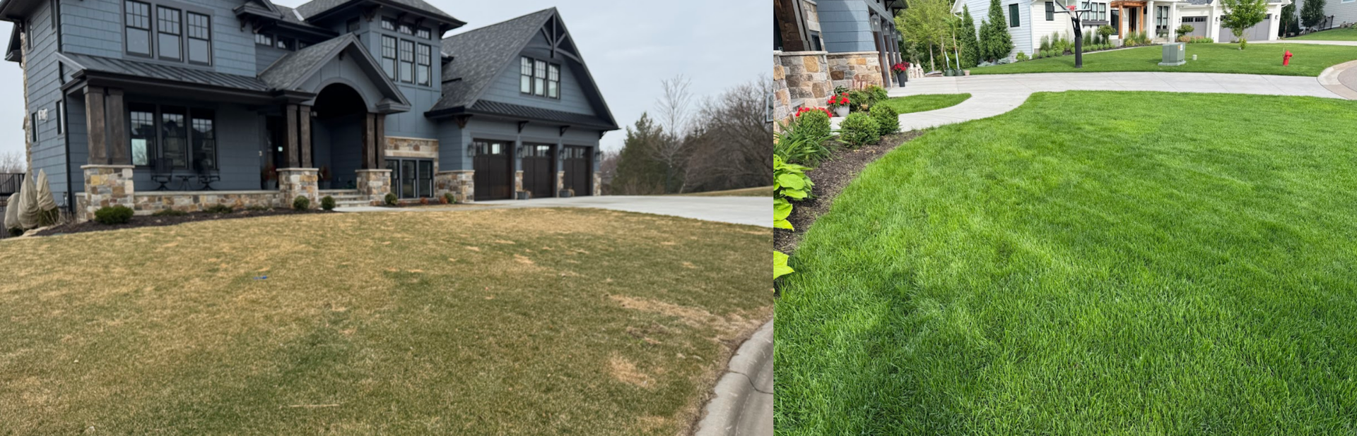 Side-by-side comparison of a residential lawn showing a dry, dormant state and a lush, green state after treatment.