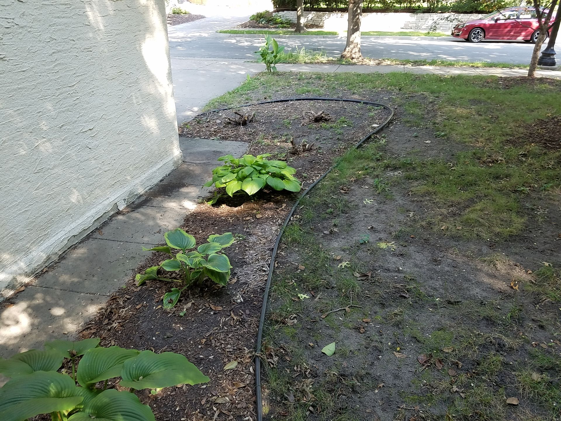 Before photo of narrow cracked and shifted walkway that needs replacing at Minneapolis home