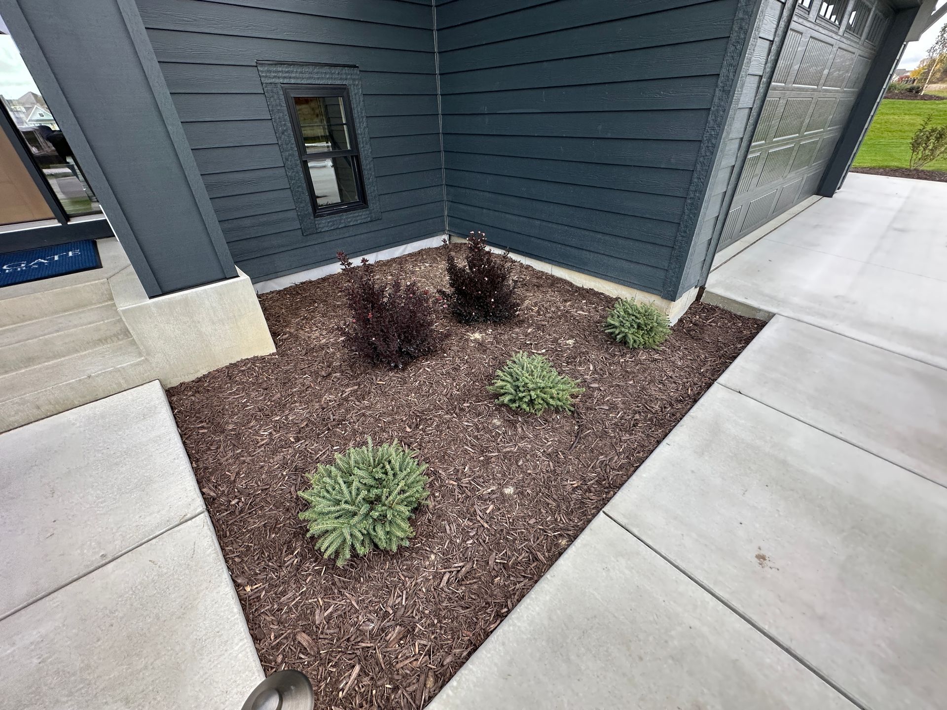 plain looking basic builder grade landscaping for new home
