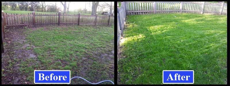 A before and after picture of a lawn with a wooden fence