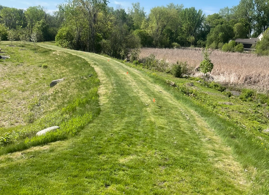 A grassy path curves through a sunlit field, bordered by a dense tree line on one side and tall, dry brush on the other.