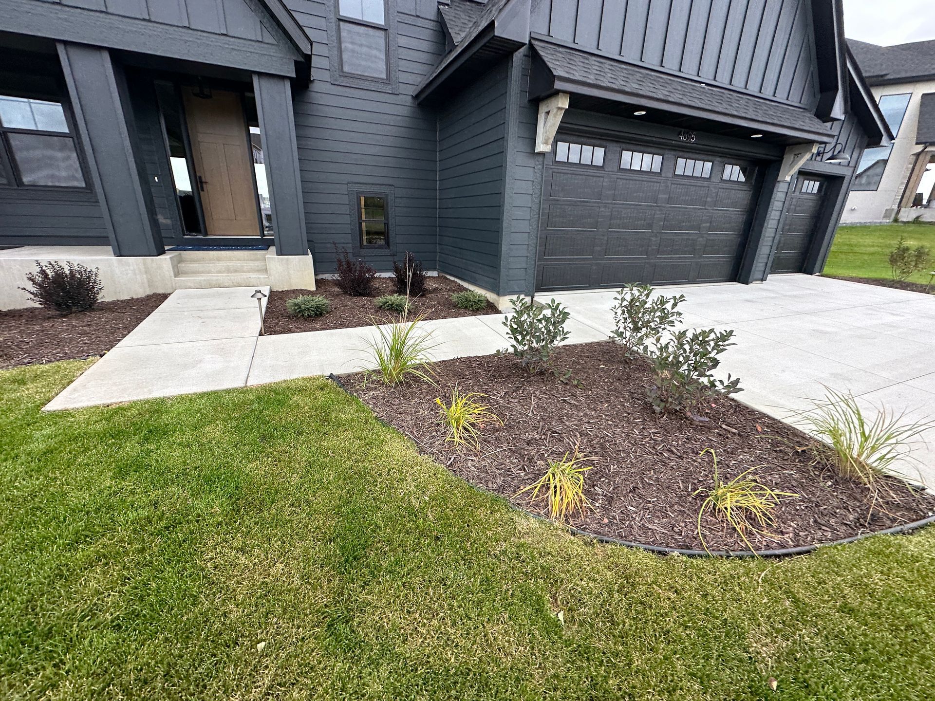 builder grade basic front yard landscaping