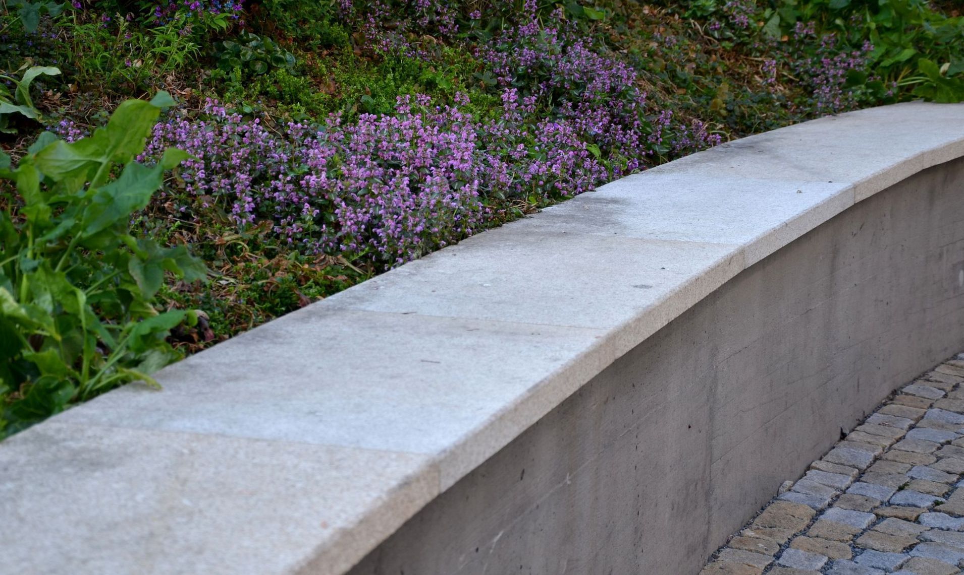 A concrete wall with purple flowers in the background