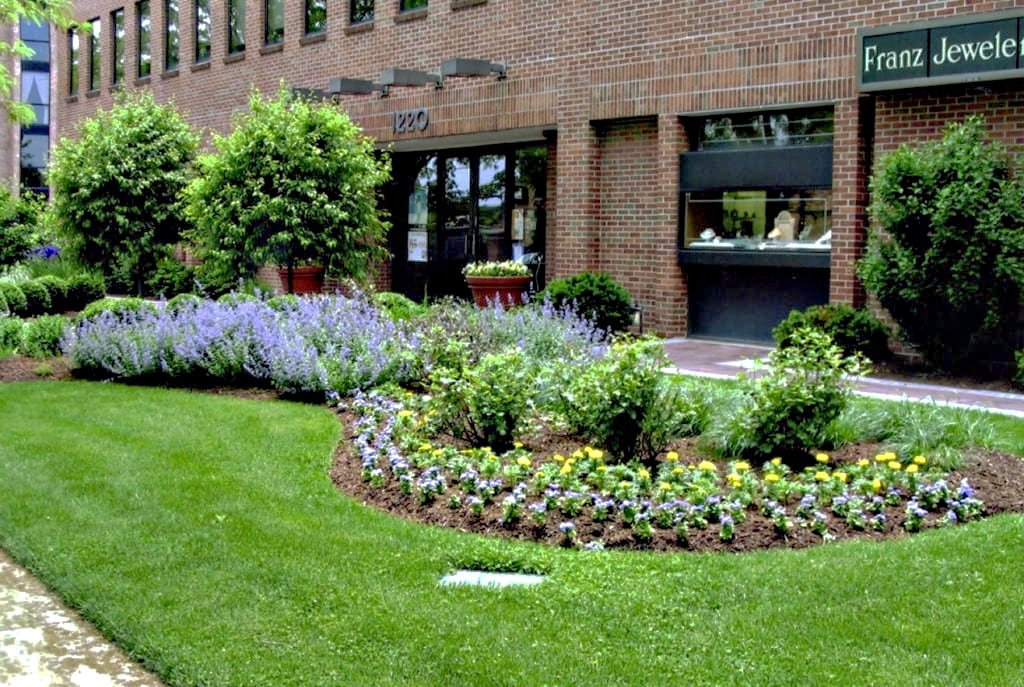 Commercial building entrance in winter with evergreen foundation plantings in Minnesota