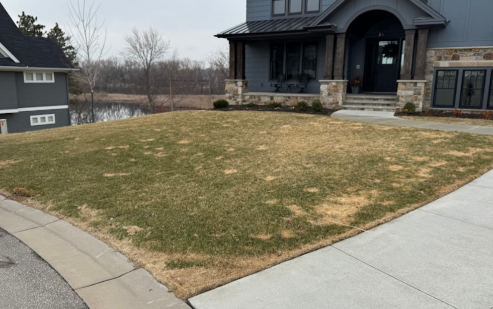 A residential front lawn with patchy, brown dormant grass and some areas of green, set against a dark-sided modern house.