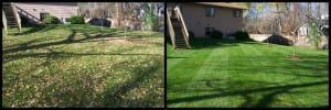 A before and after picture of a lawn with a house in the background.