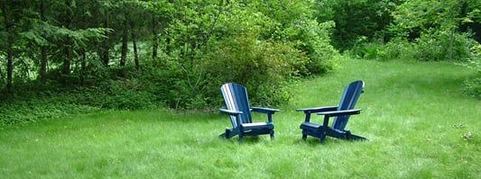 Two blue lawn chairs are sitting in a lush green field.