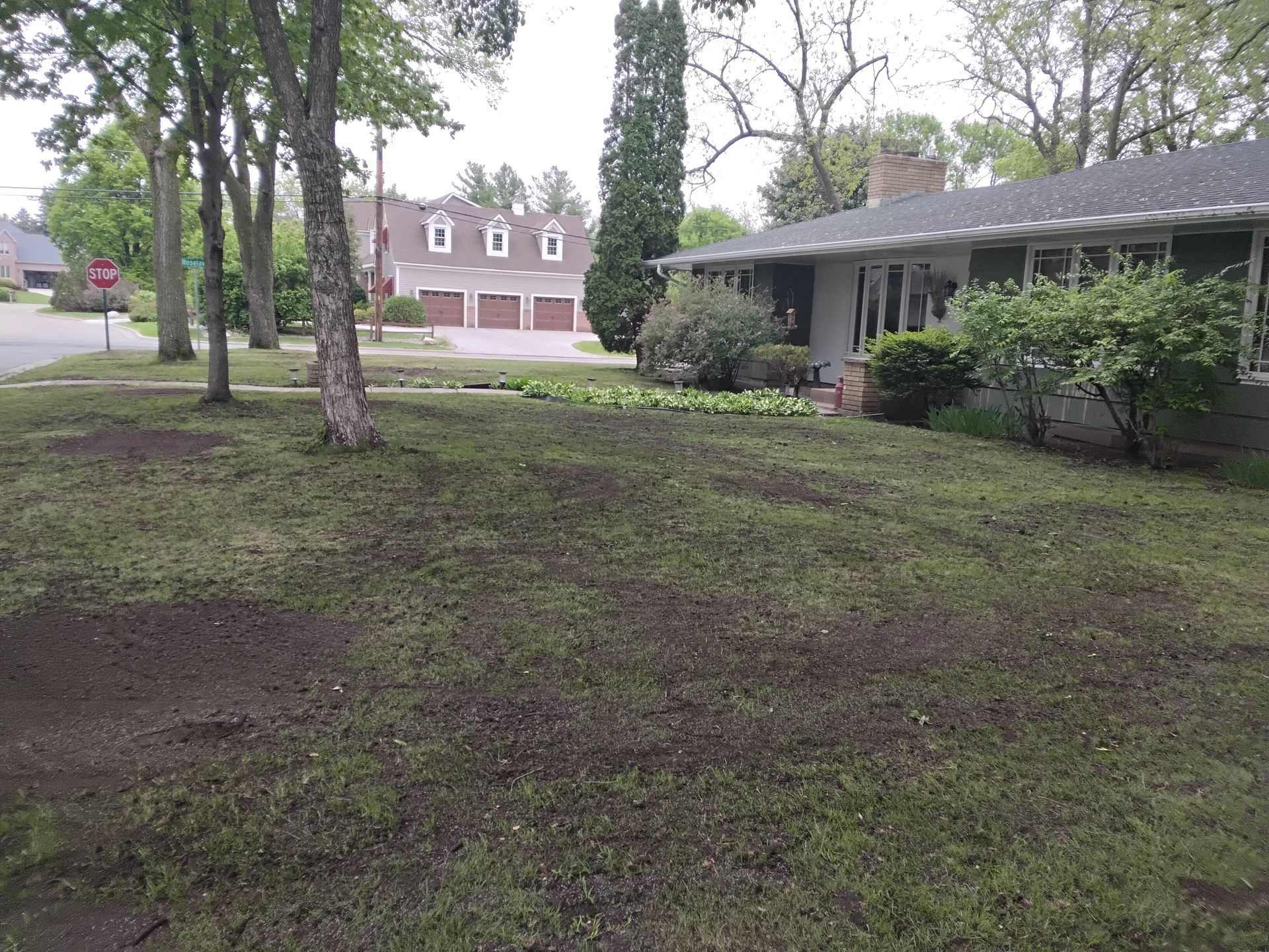 completed organic top soil on lawn