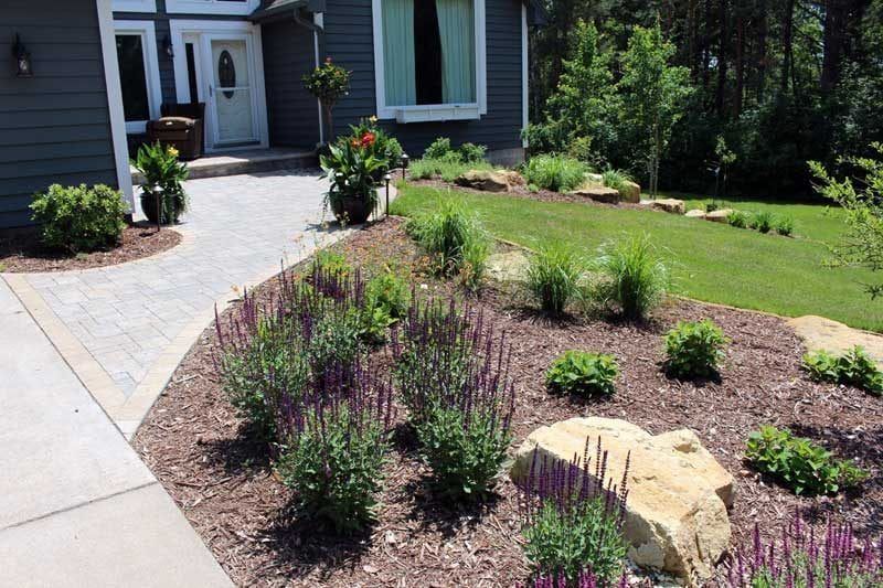 Front yard landscaping ideas in sloped yard hill with curved paver walkway boulder outcroppings tina crab tree focal point tree and salvia purple flowers curved garden beds stone edging  limestone rocks and brown mulch curb appeal in Ham lake Minnesota KG Landscape.com