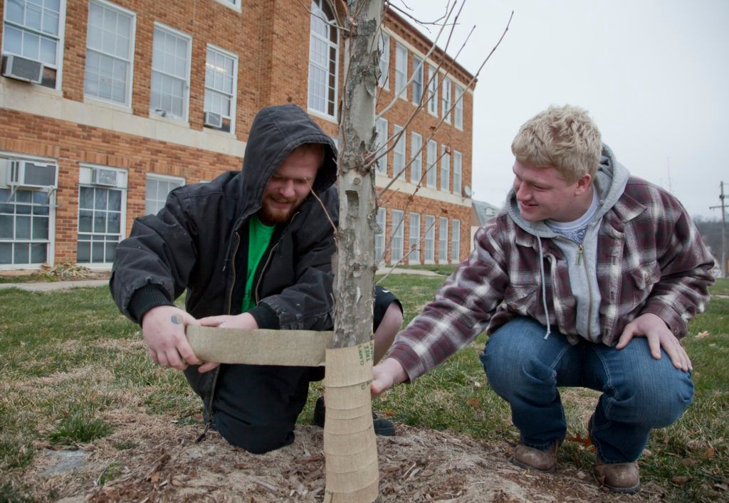 Two men are working on a tree in front of a brick building.