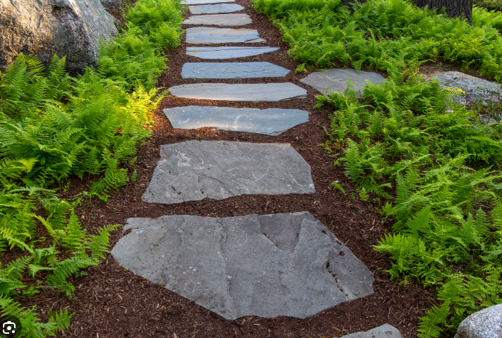 A stone walkway in a garden surrounded by ferns and rocks.