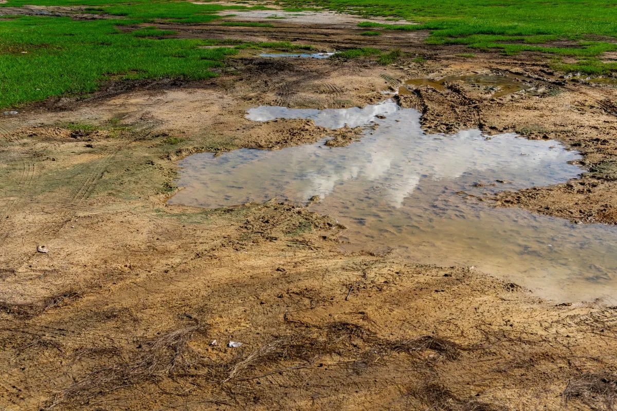 Drainage issue in yard