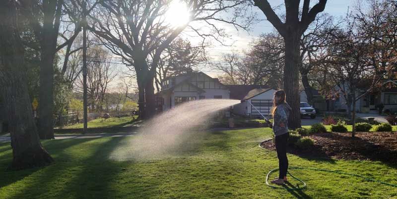 A woman is watering her lawn with a hose.