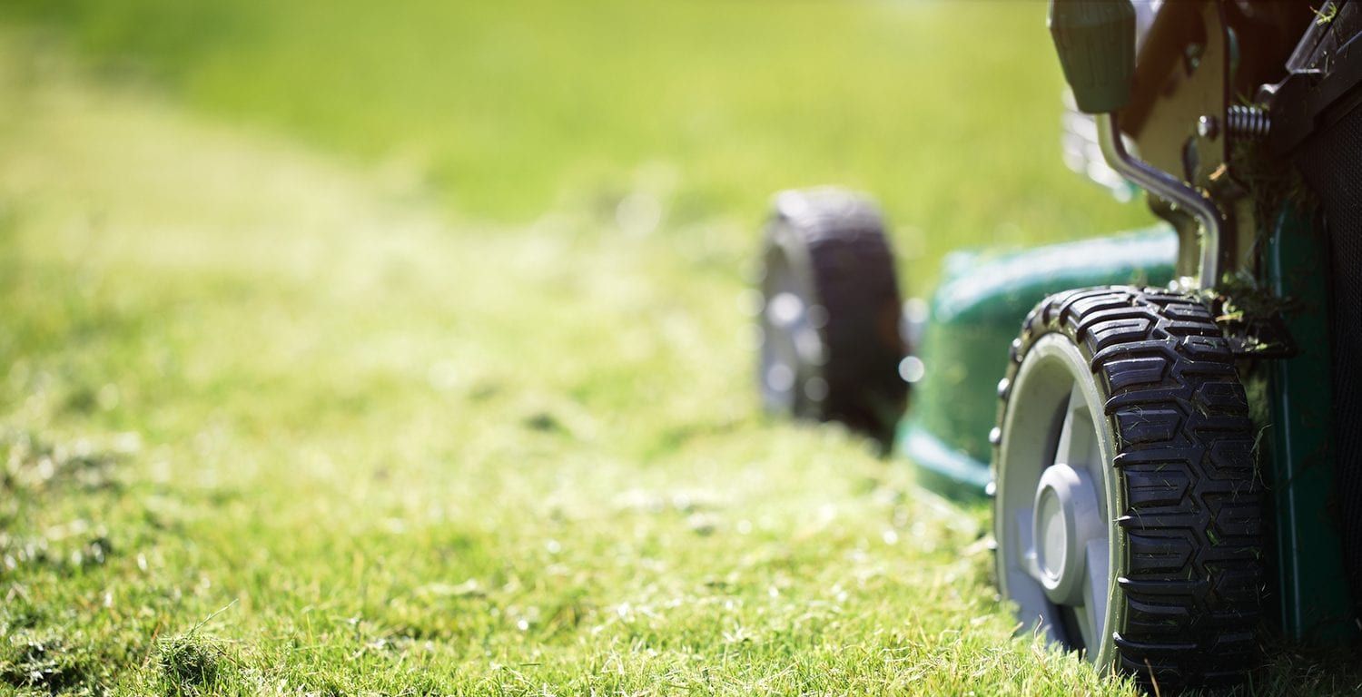 A person is mowing a lush green lawn with a lawn mower.