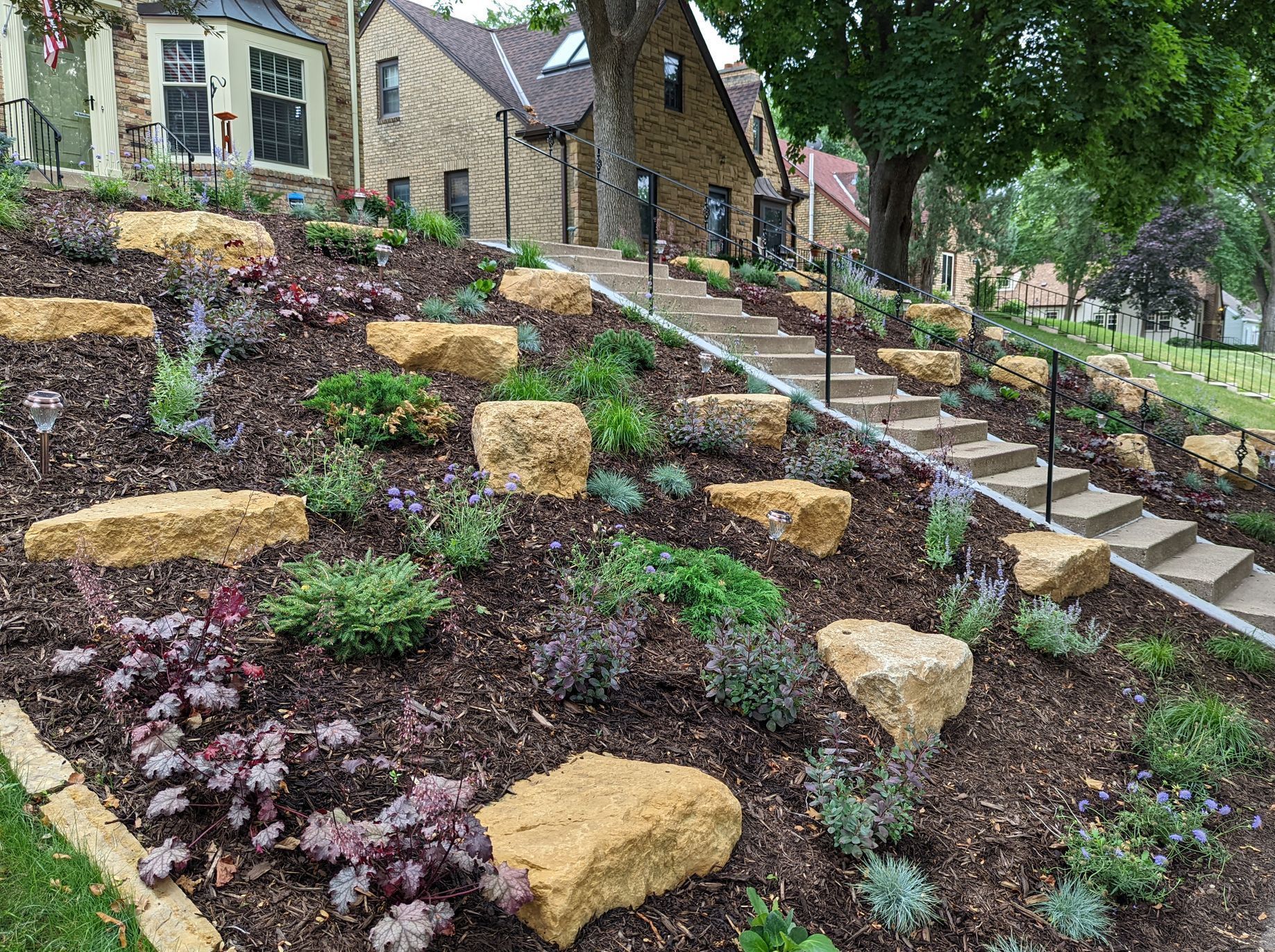 A garden with rocks , plants and stairs in front of a house.