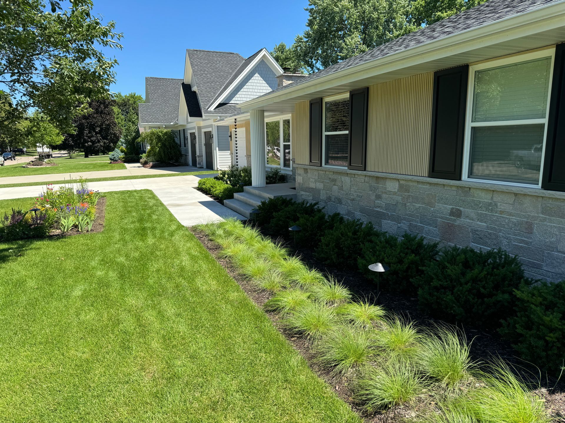 Designed front yard landscaping for curb appeal modern style with  steel edging prairie dropseed grasses and yew bushes rambler with colorful perennials in Edina MN boxwoods with hydrangeas new concrete walkway KG Landscape