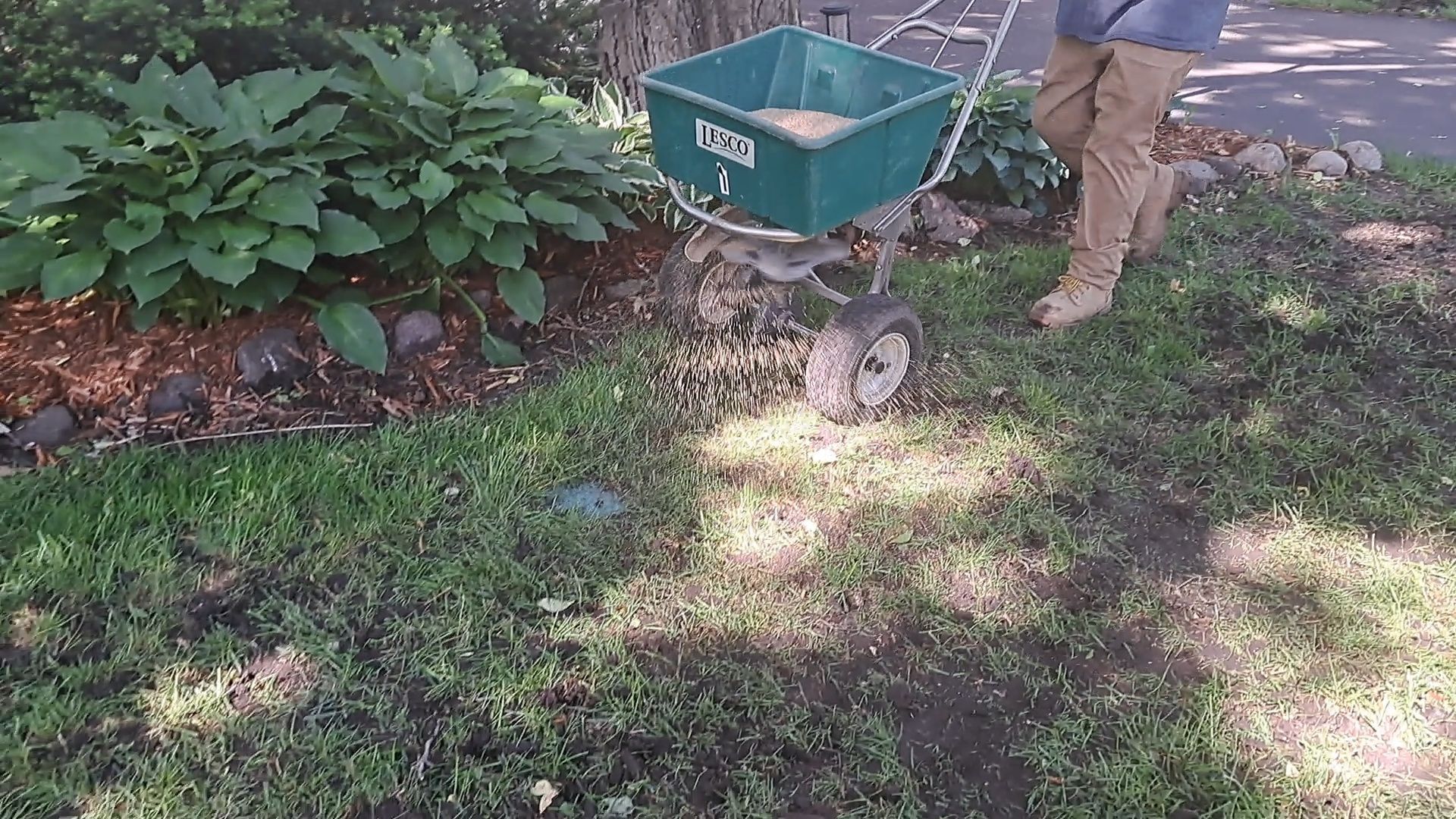 Power borrow dumping organic soil