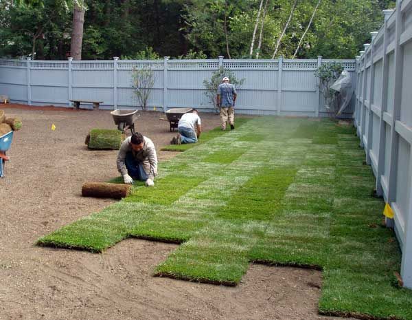 A group of people are working on a lawn in a backyard.