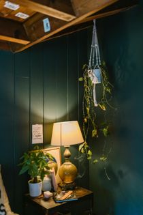 A lamp is sitting on a table next to a plant hanging from the ceiling.