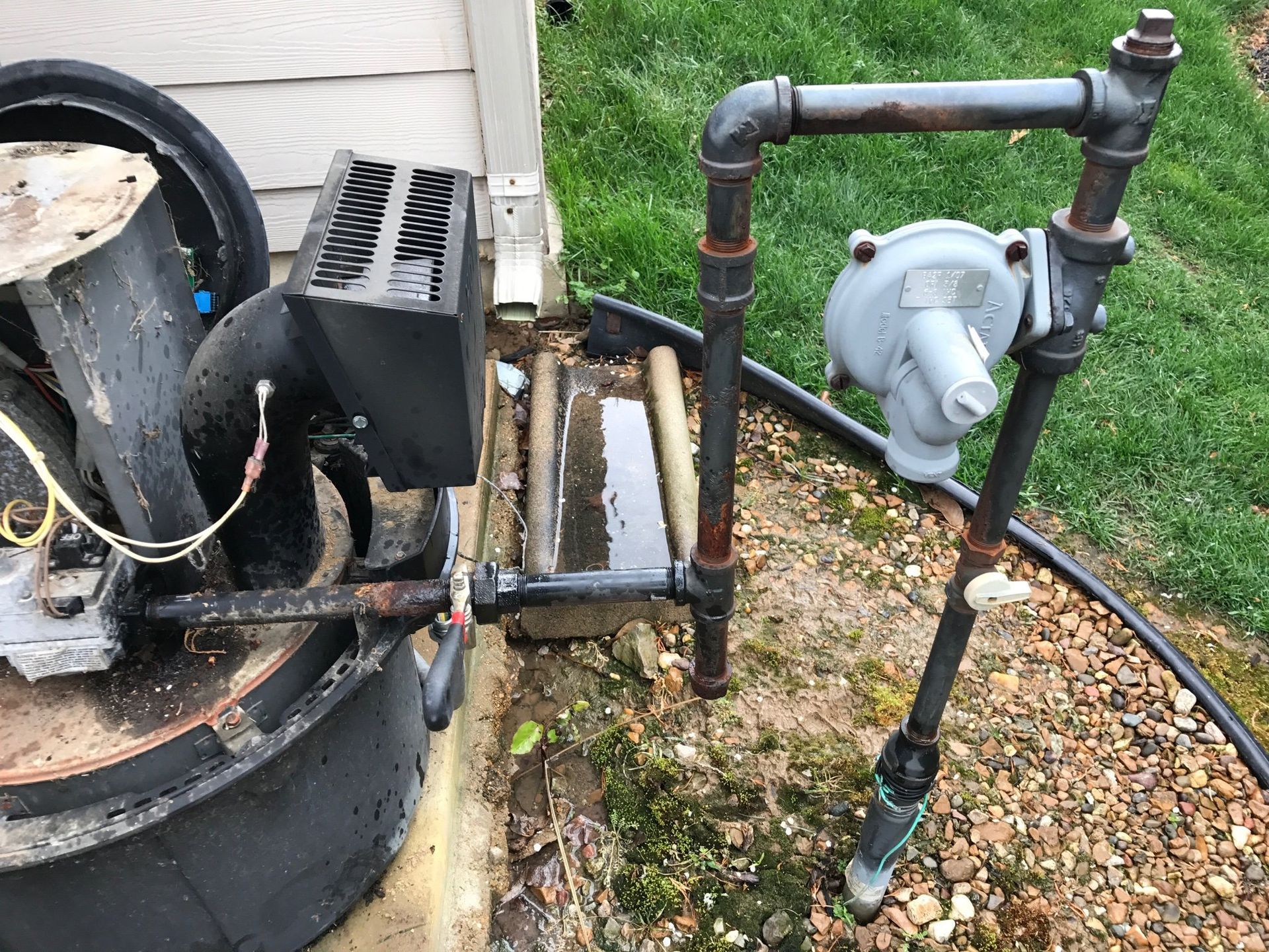 Post-Installation Care and Seasonal Maintenance