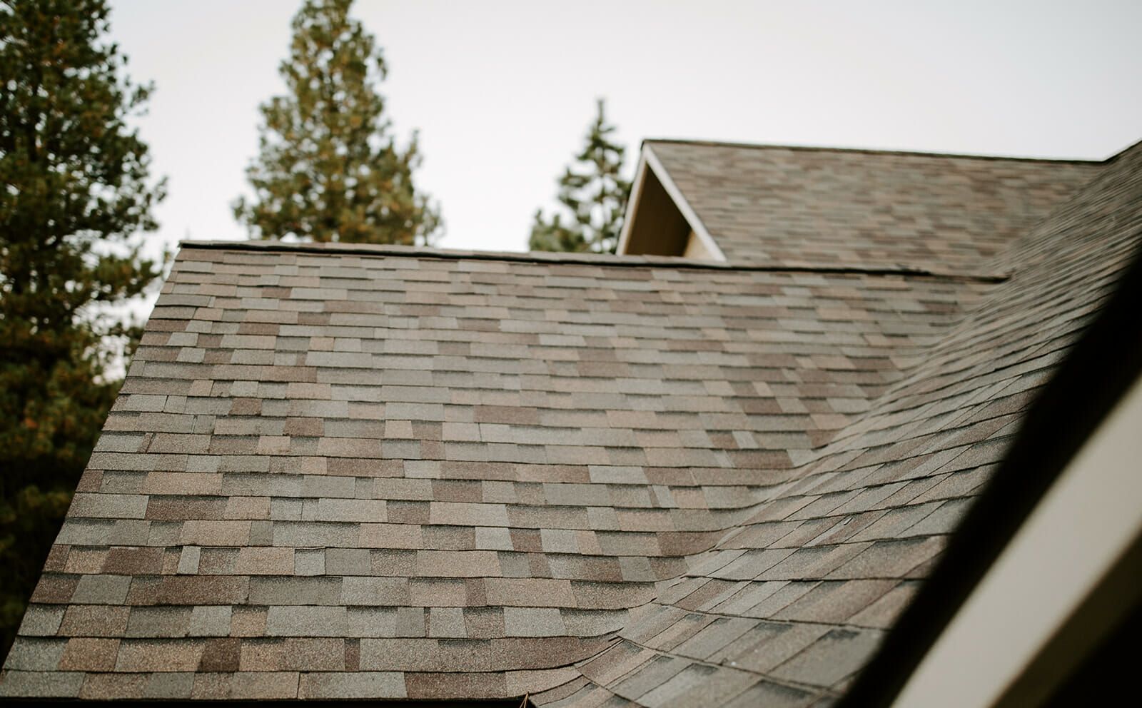 A close up of a roof with trees in the background.