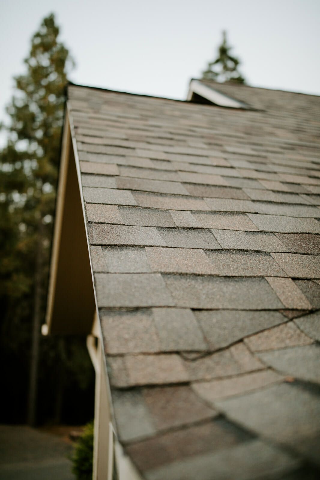 A close up of a roof of a house with trees in the background.