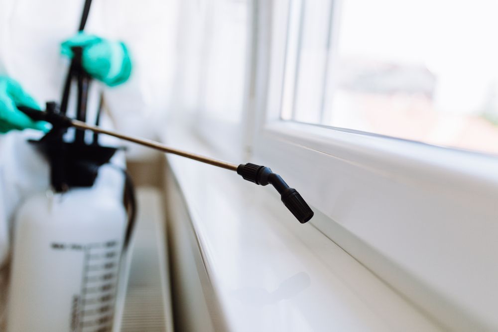 A person is spraying a window sill with a sprayer.