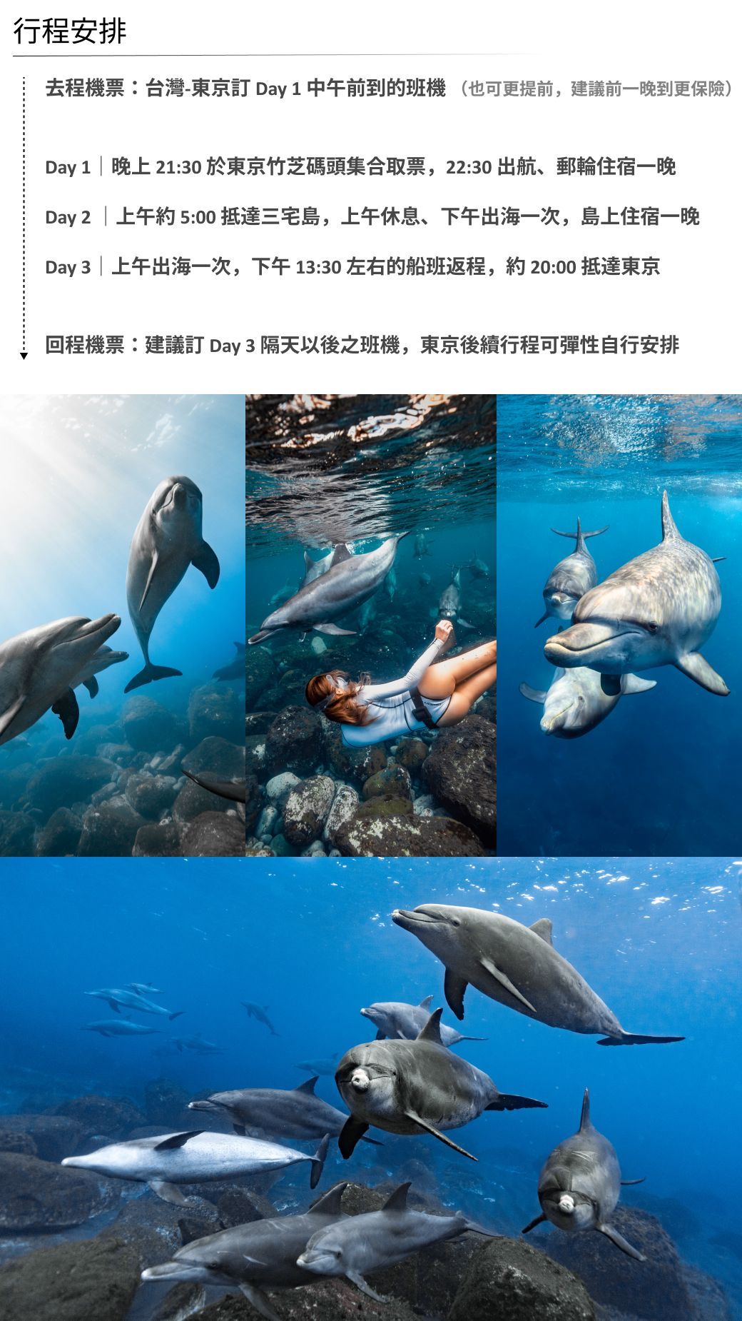 🇯🇵 日本御藏島海豚共潛拍攝團