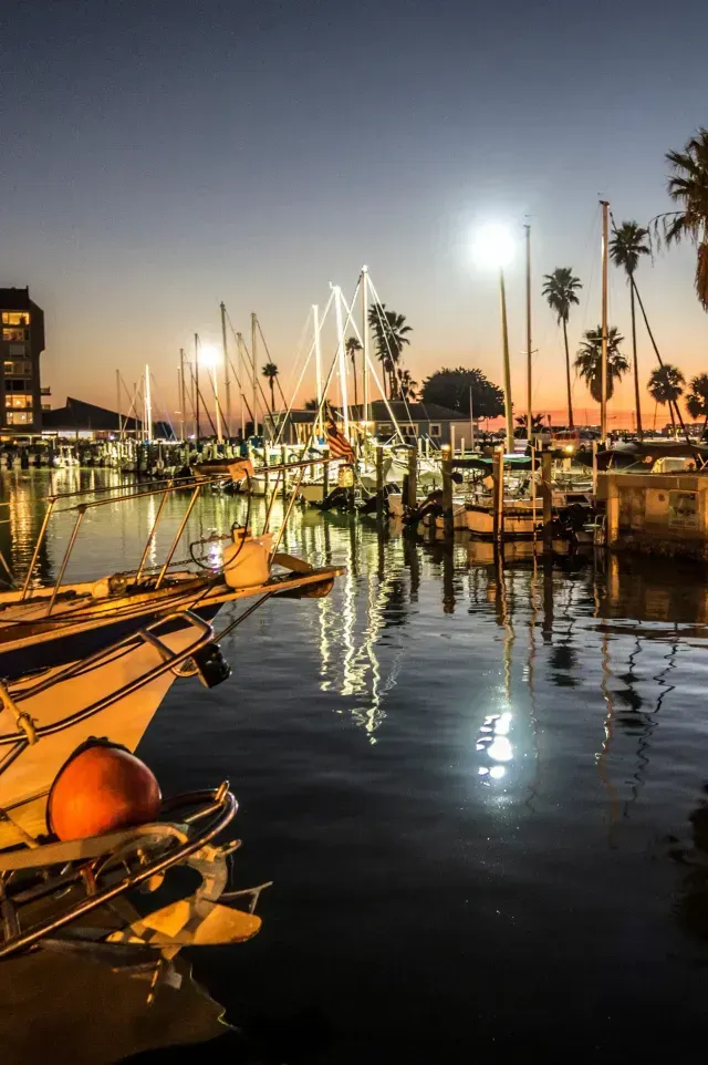 House Painters dunedin - Twilight at a marina with boats docked, glowing lights reflecting on water, and palm trees silhouetted against a colorful sunset.