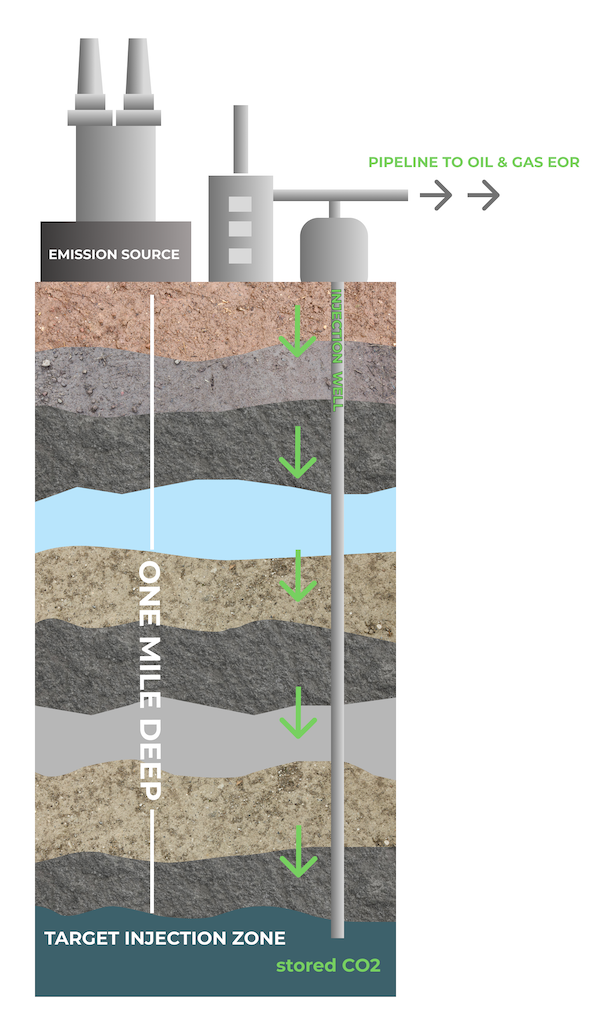 infographic that shows how carbon sequestration is performed.