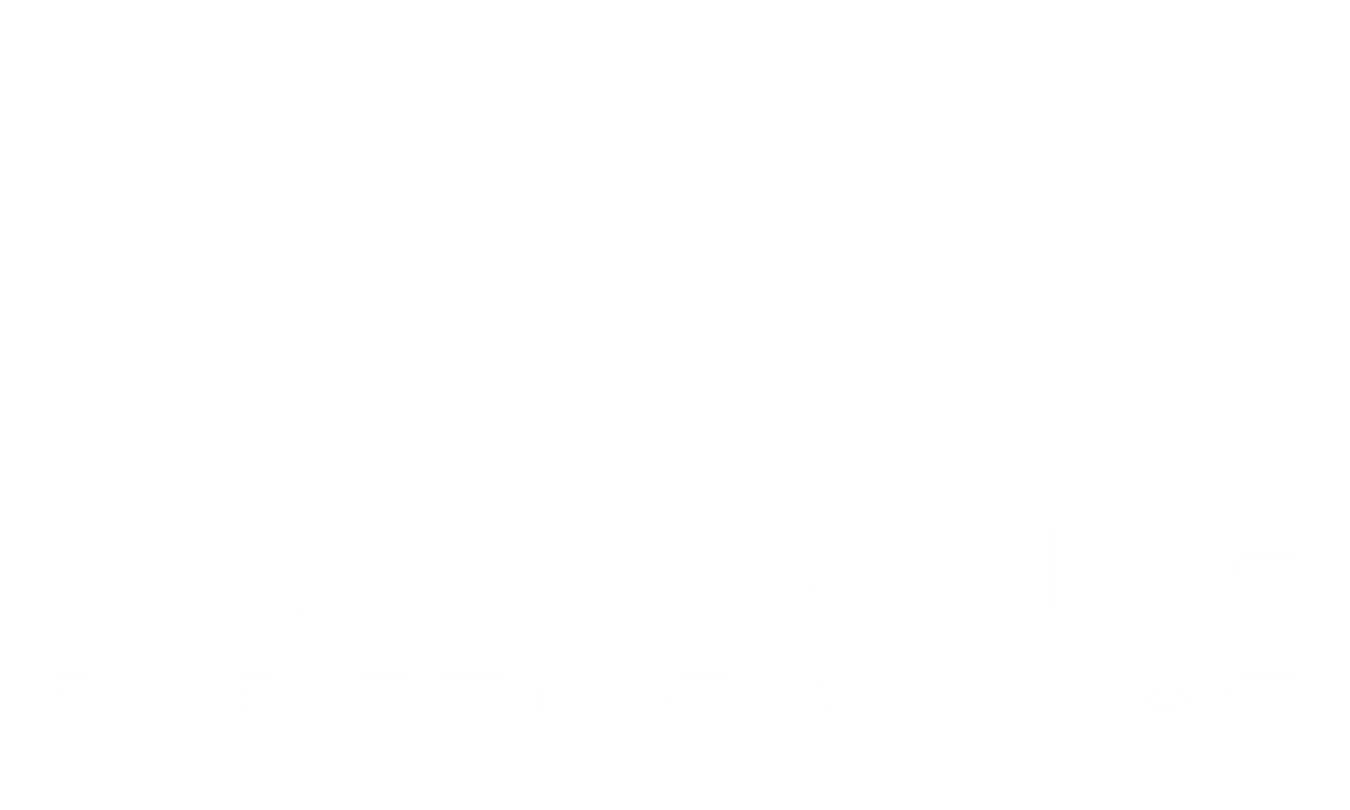 LOGO Pro Trade Electric