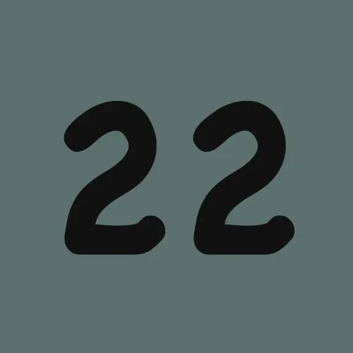 The number 22 is on a grey background