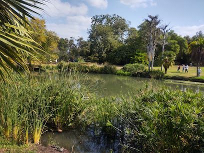 Pond with lush greenery in a park. Trees and people are in the background on a sunny day.