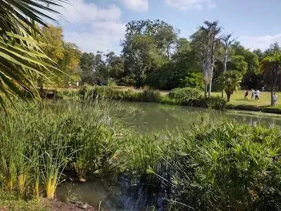 tree service close to me-Lush green pond with tall grasses. Trees line the background under a blue sky. Some people are visible on the far bank.
